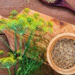 تصویری از مواد گیاهی مانند زنجبیل، زردچوبه، عسل، و چای سبز که برای درمان عفونت معده و بهبود سلامت گوارشی استفاده میشوند، همراه با جلوهای طبیعی و آرامشبخش.