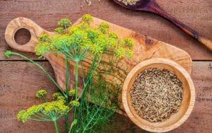 تصویری از مواد گیاهی مانند زنجبیل، زردچوبه، عسل، و چای سبز که برای درمان عفونت معده و بهبود سلامت گوارشی استفاده می‌شوند، همراه با جلوه‌ای طبیعی و آرامش‌بخش.