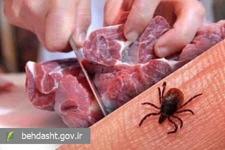 همهچیز درباره تب کریمه کنگو؛ بیماری خطرناک مشترک بین انسان و دام