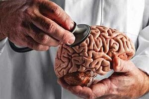 ۳ نیاز اساسی مغز