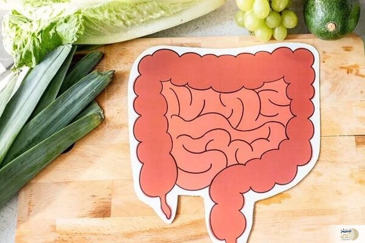 غذاهای جادویی برای معدههای تنبل