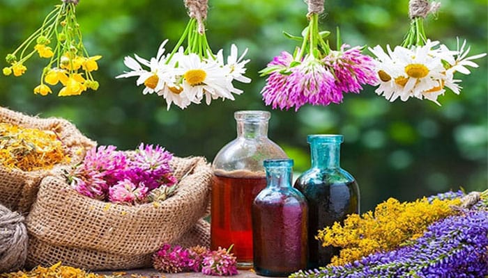 بررسی تأثیر گیاهان دارویی در تقویت حافظه
