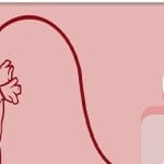 دندانهای خراب خطر حمله قلبی را تشدید میکنند