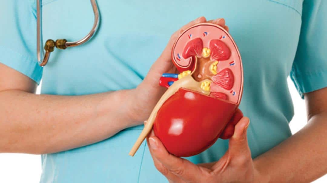 درباره بیماری های کلیوی بیشتر بدانیم