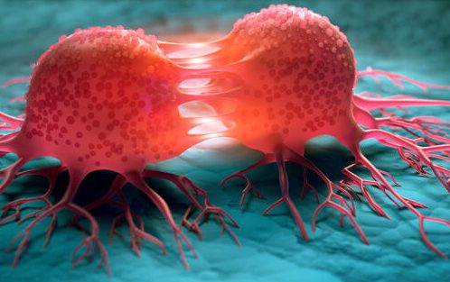 چگونه سرطان باعث مرگ میشود؟ نظریه جدید لخته شدن خون