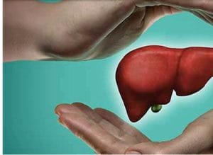 افراد لاغر هم درگیر «کبد چرب» می شوند