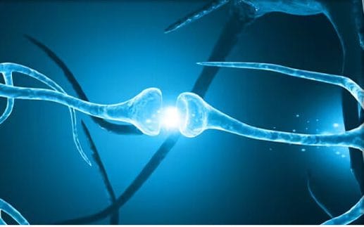 تجمع آهن در مغز می‌تواند آغازگر آلزایمر و پارکینسون باشد
