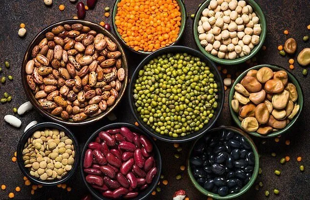 راز طول عمر بیماران قلبی چیست؟/ راز در این پروتئینهای سبز پنهان شده است
